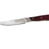 Sola Steak Knife Set - Wood 6pcs